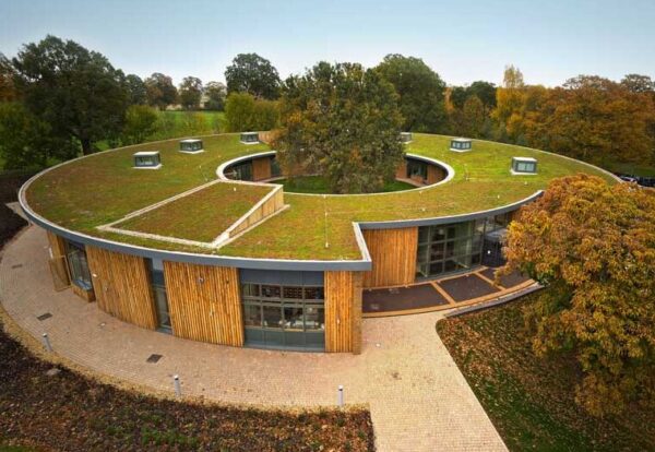 Green Roof System